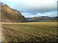 Grazing land at Fonvuick