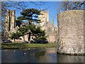 Corner of moat, Wells