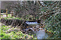 Small weir, Scrase Valley nature reserve