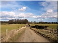 NZ0888 : Farm track east of Wittonstone by Andrew Curtis