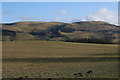 Field near Tynllwyn