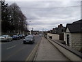 N6232 : St Mary St, Edenderry, Offaly by C O'Flanagan