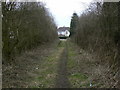 Footpath from Packington