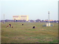 Field adjacent to the M4 motorway