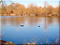 Fishing lake in Trout Road