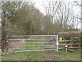 Gate and stile on Troy Lane