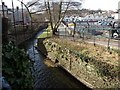 River Lemon just north of Wolborough Road