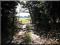 Track into pastures south of Fairstead Lane