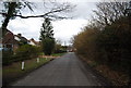 Petteridge Lane entering Petteridge