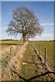 Footpath east of West Horton Farm