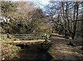 Bridge, Treesmill Valley