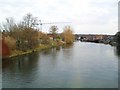 The Lagan at Stranmillis