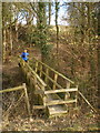 Footbridge over the incipient Leighton Brook