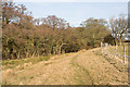 Footpath northeast of Fir Tree Farm