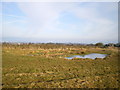 Dew pond on Mount Pleasant