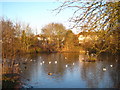 Stamford Green pond