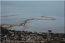 ST4274 : Mud in Walton Bay by Philip Halling
