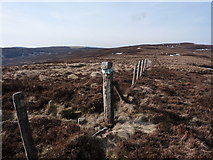 SH9926 : Top of hill in moorland by Peter Aikman