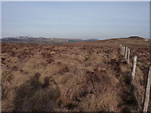 SJ0026 : Moorland and fence by Peter Aikman