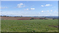 Farmland near Cookley, Worcestershire