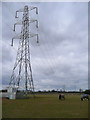 Power lines and pasture