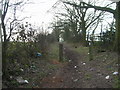 Bridleway near Lambley House