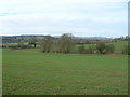 Farmland near Netherfield Farm