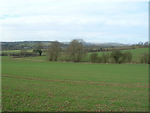 SK6648 : Farmland near Netherfield Farm by JThomas