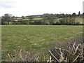 Fields Near Wheat Common