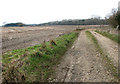 Heading north on the Peddars Way