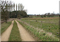 Approaching Stonehill Plantation on the Peddars Way