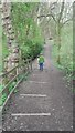 Path behind the dam, Worsley