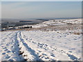 Snowy pastures above Dryburn Hall and Birk Hott