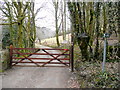 Footpath and track