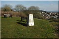 Trig point on Dial Hill