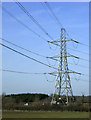 2010 : Electricity pylon west of Chippenham