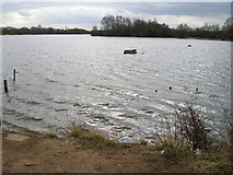 SK6139 : Colwick Country Park by JThomas