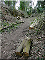 Byway to Blakeshall, Worcestershire