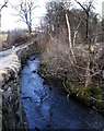 The Avon Burn