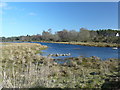 Lochan by Easter Heathfield