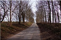 SU4386 : The road to West Ginge from Betterton by Steve Daniels