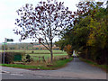 Public Footpath, The Ridgeway, Enfield