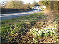 The A30 north of Yard Cross