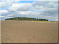 Farmland, Hatwood Oaks