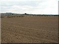 Farmland off Baulker Lane