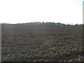 Farmland off  Oaks Lane