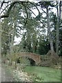 Tall trees and Bridge 56