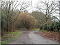 Access road running from St Bartholomew, Egdean