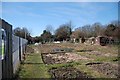 Allotments in Wych Lane