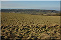 View across Gordano Valley